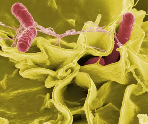 The Science Behind mRNA Vaccines: A Closer Look